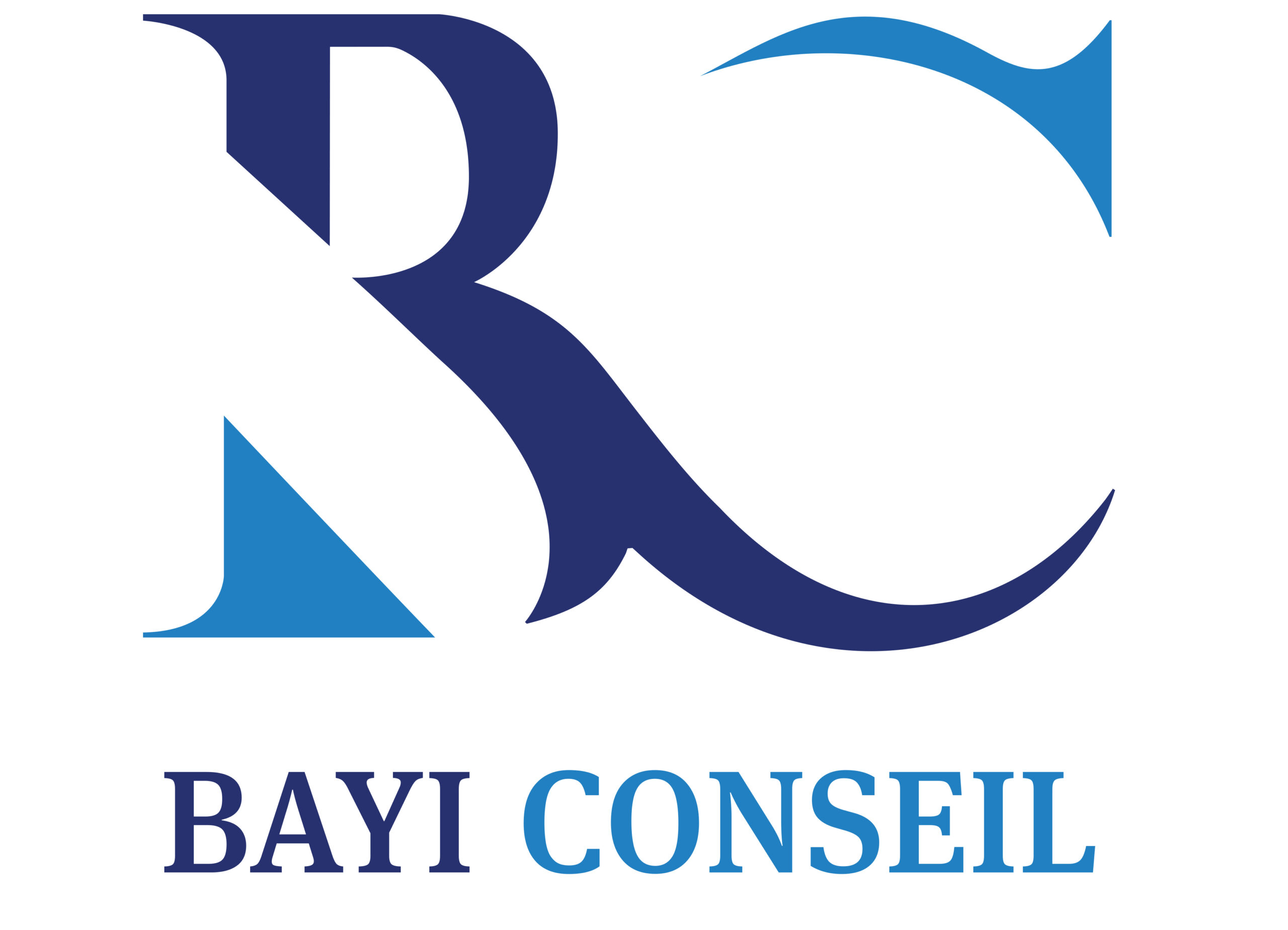 Bayi Conseil